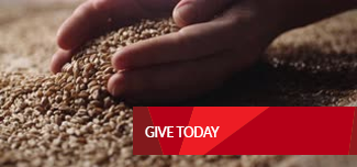 Give Today