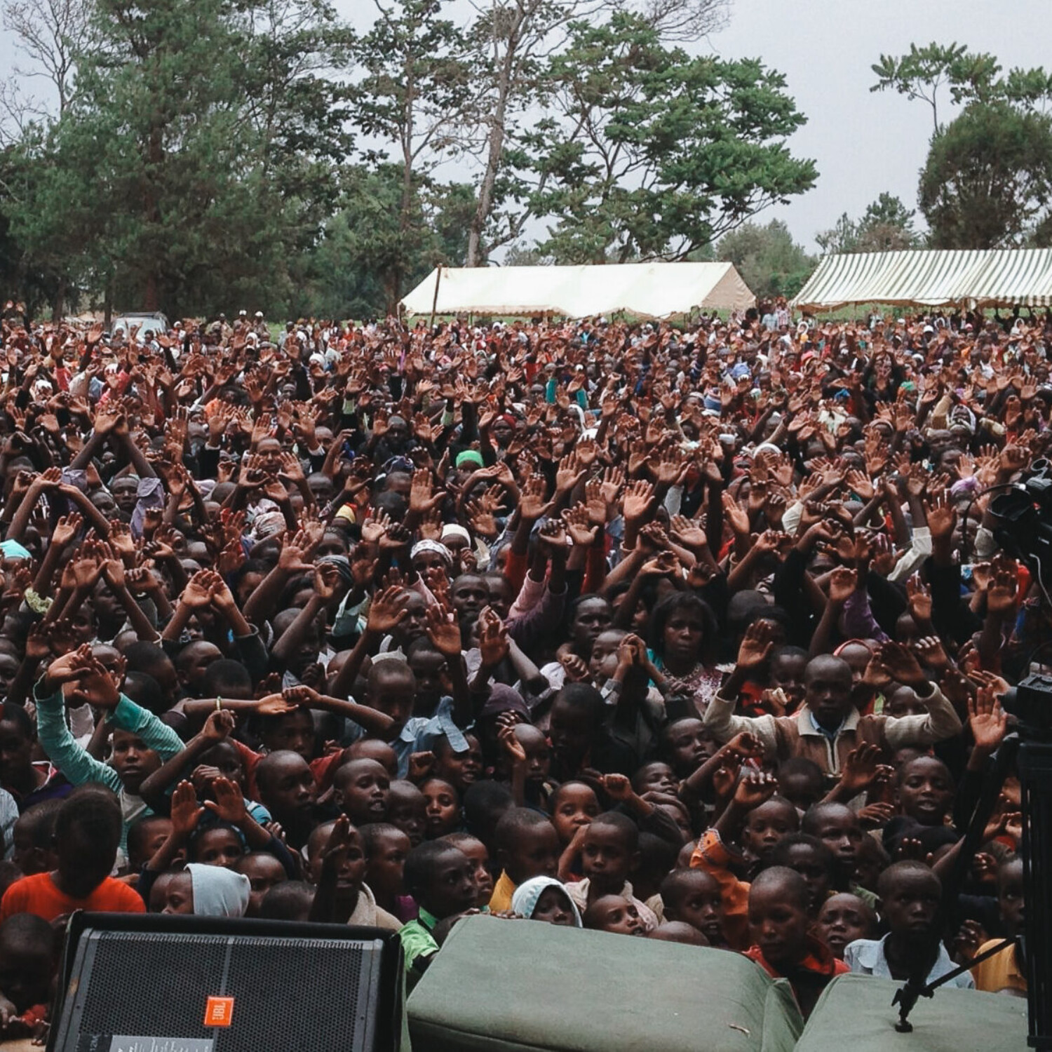 Crowd with hands raised